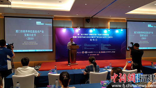 廈門軟件業領跑全省，技術服務成新引擎